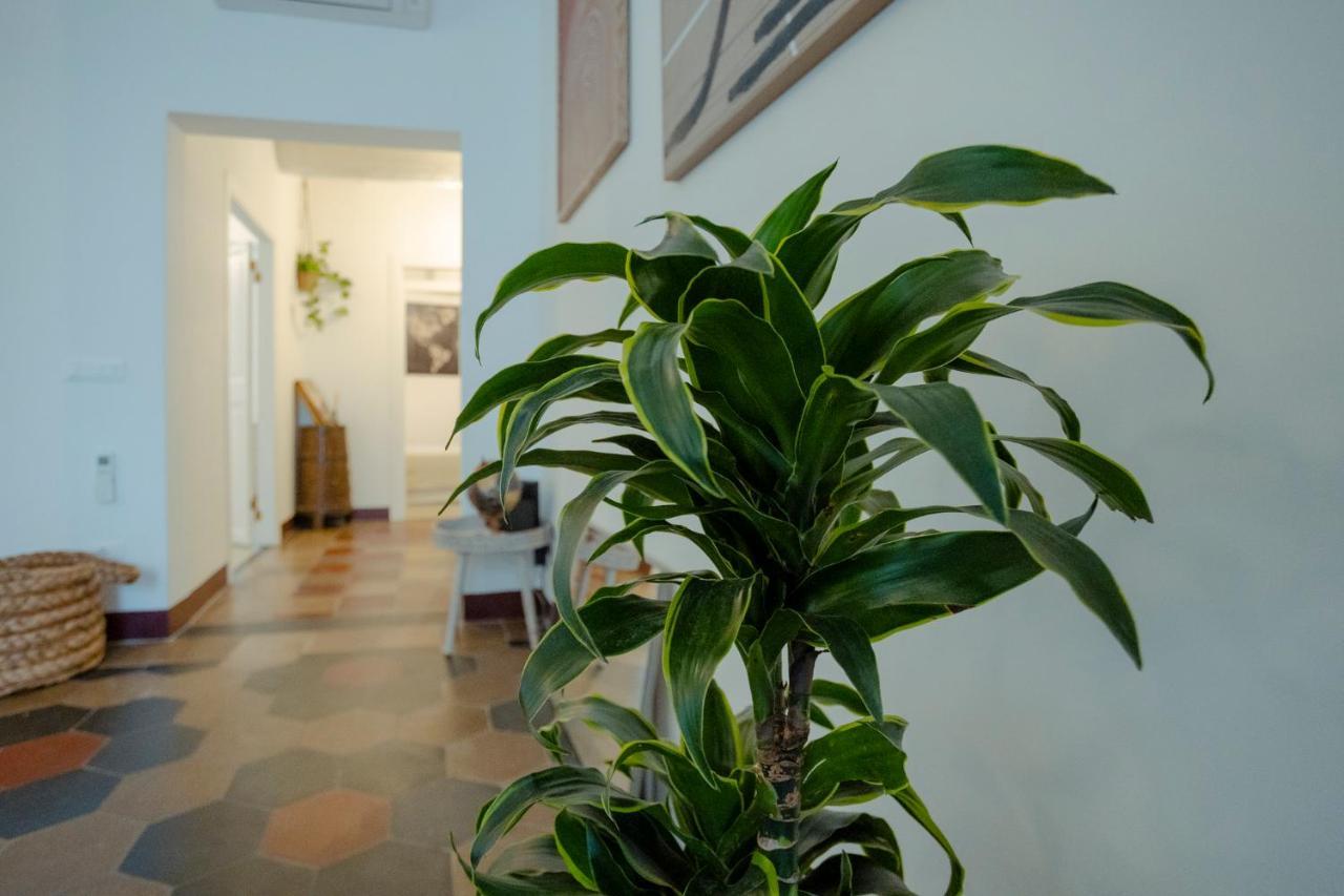 Domus Superior Navona - Pantheon Apartment Rome Bagian luar foto